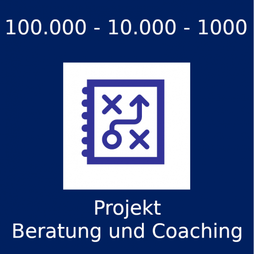 Coaching großer privater Projekte